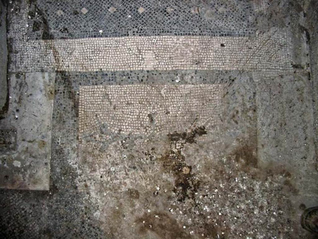 V.15, Herculaneum. May 2003. Threshold of doorway between west portico and large oecus.
Photo courtesy of Nicolas Monteix.